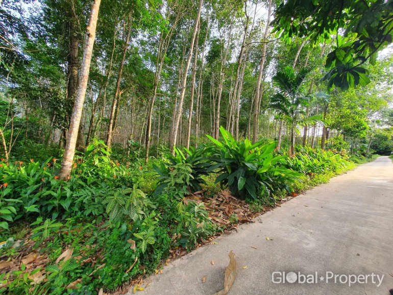 Terrain à Ko Kut, Thailand No. 61461