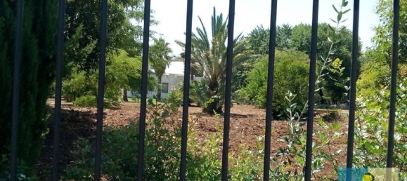 Villa de 7 habitaciónes en Ostuni, Italy No. 89560 18