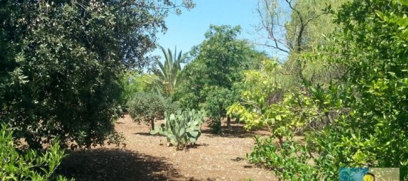 Villa de 7 habitaciónes en Ostuni, Italy No. 89560 41