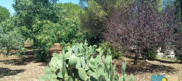 Villa de 7 habitaciónes en Ostuni, Italy No. 89560 43