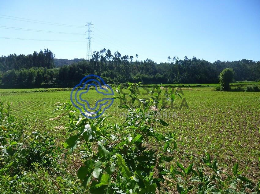 8030m² Land in Valongo, Portugal No. 56688