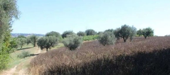 5 rooms Apartment in Massarosa, Italy No. 274747 48