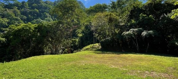 Grundstück in Puerto Jimenez, Costa Rica, Nr. 1948 3