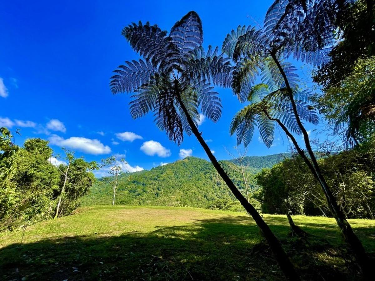 Grundstück in Puerto Jimenez, Costa Rica, Nr. 1948