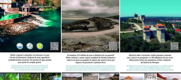 9 Schlafzimmer Haus in Ourem, Portugal, Nr. 122301 26