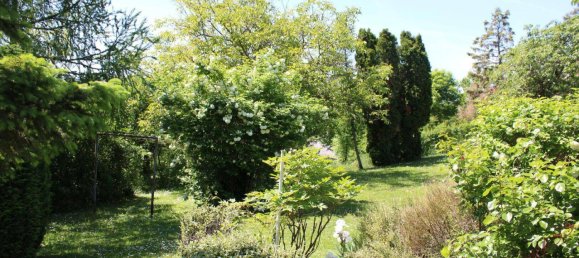 16 rooms House in Fischamend, Austria No. 168359 28