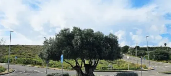  Land in Mijas, Spain No. 140210 4