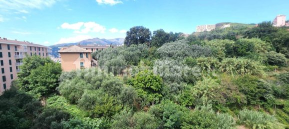 1 bedroom Apartment in Genoa, Italy No. 264593 17