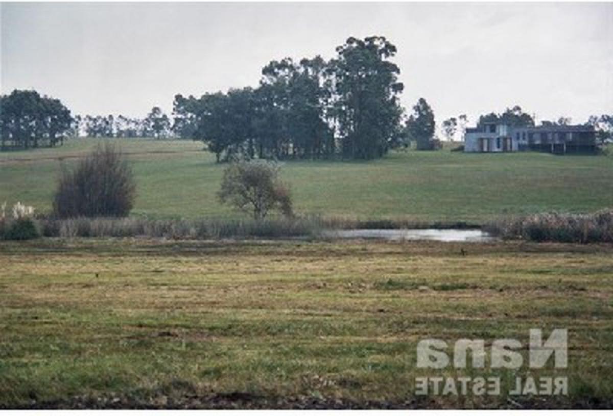  Farm in Maldonado, Uruguay No. 14831