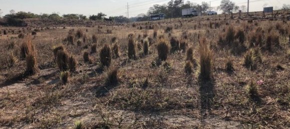 Земельный участок в Либерия, Коста-Рика № 1690 3