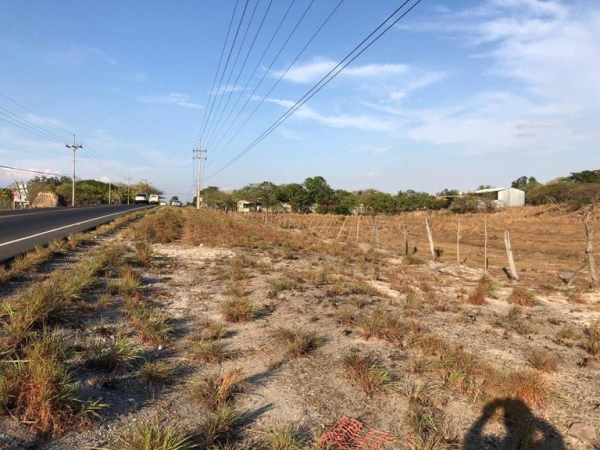 Земельный участок в Либерия, Коста-Рика № 1690