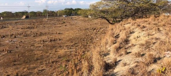 Земельный участок в Либерия, Коста-Рика № 1690 4