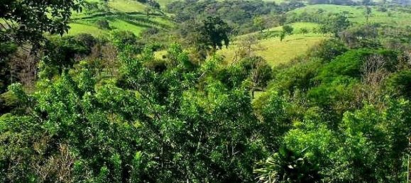 Terreno em Tilaran, Costa Rica N.º 1931 2