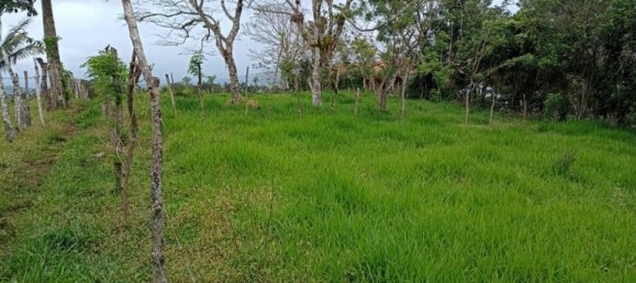 Terreno em Tilaran, Costa Rica N.º 1931 3