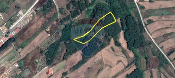 Земельный участок 5106м² в Синтра, Португалия № 71725 3