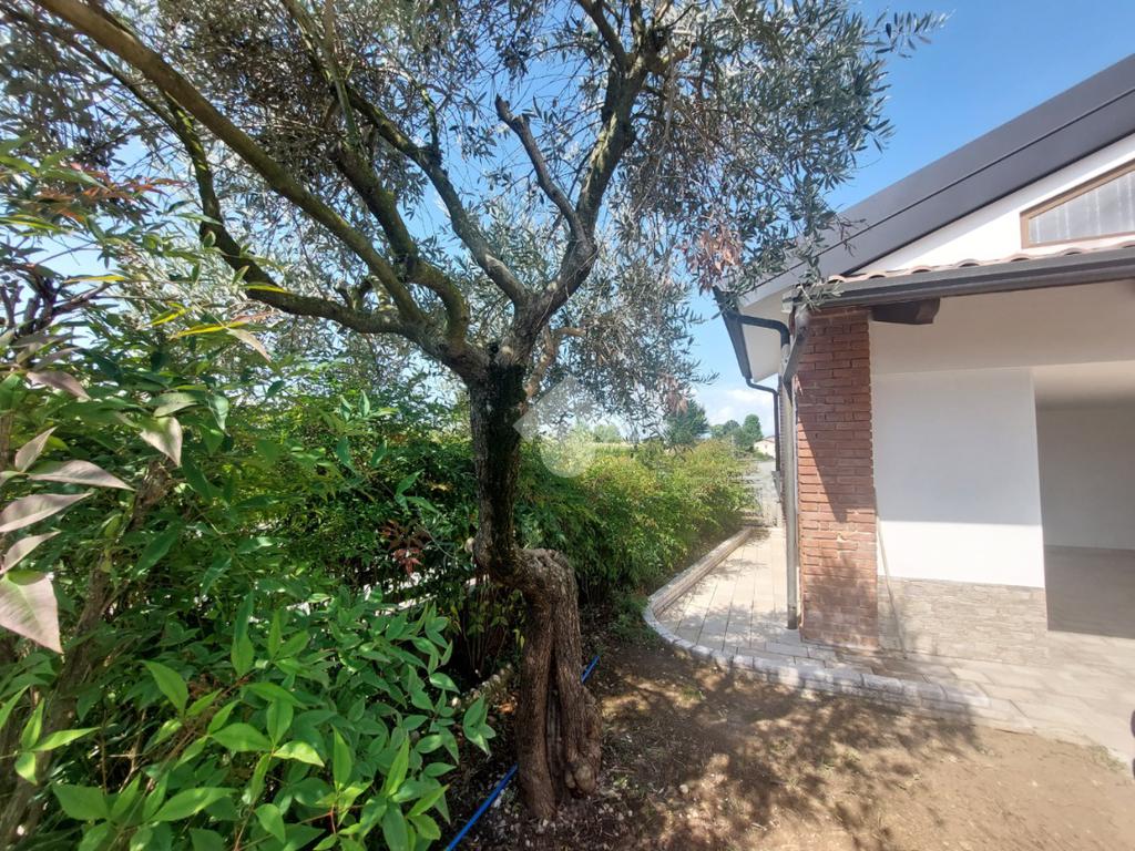 3 chambres Villa à Sandrigo, Italy No. 257634