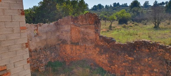 Grundstück in Segorbe, Spain 12000m², Nr. 138439 3
