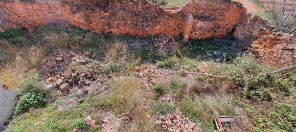 Grundstück in Segorbe, Spain 12000m², Nr. 138439 4