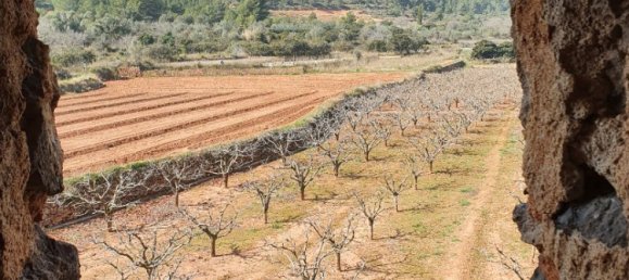 Grundstück in Segorbe, Spain 12000m², Nr. 138439 9