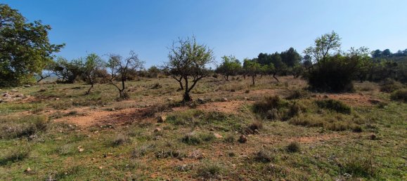 Grundstück in Segorbe, Spain 12000m², Nr. 138439 35