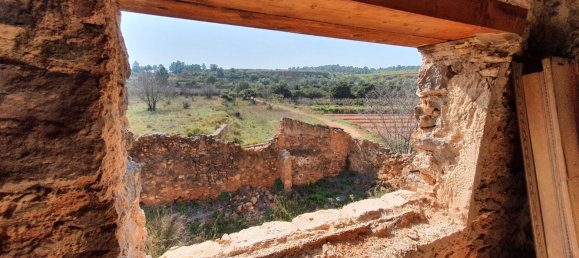 Grundstück in Segorbe, Spain 12000m², Nr. 138439 21