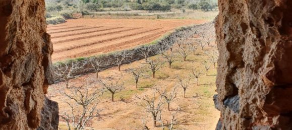 Grundstück in Segorbe, Spain 12000m², Nr. 138439 8