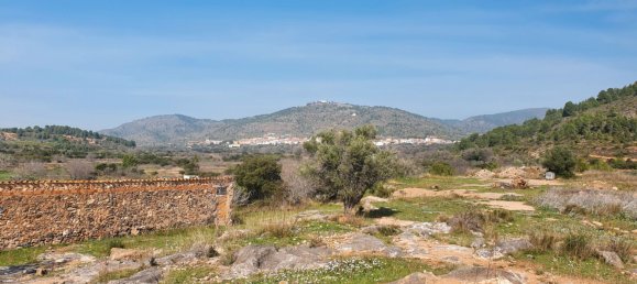 Grundstück in Segorbe, Spain 12000m², Nr. 138439 30