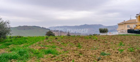  قطعة أرض في Montegranaro, Italy 5000متر مربع رقم 20840 11