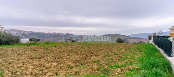  قطعة أرض في Montegranaro, Italy 5000متر مربع رقم 20840 18