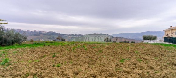  قطعة أرض في Montegranaro, Italy 5000متر مربع رقم 20840 7