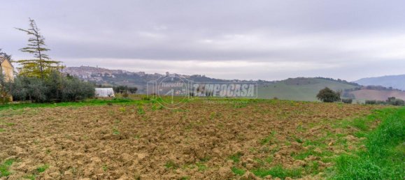  قطعة أرض في Montegranaro, Italy 5000متر مربع رقم 20840 14