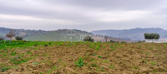  قطعة أرض في Montegranaro, Italy 5000متر مربع رقم 20840 12