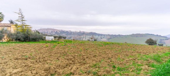  قطعة أرض في Montegranaro, Italy 5000متر مربع رقم 20840 22