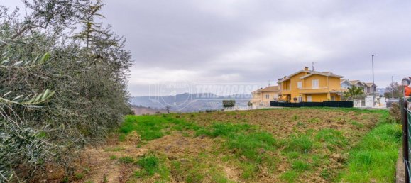  قطعة أرض في Montegranaro, Italy 5000متر مربع رقم 20840 10