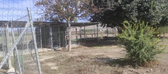 6 غرف نوم منزل في Fuente Vaqueros, Spain رقم 92987 15