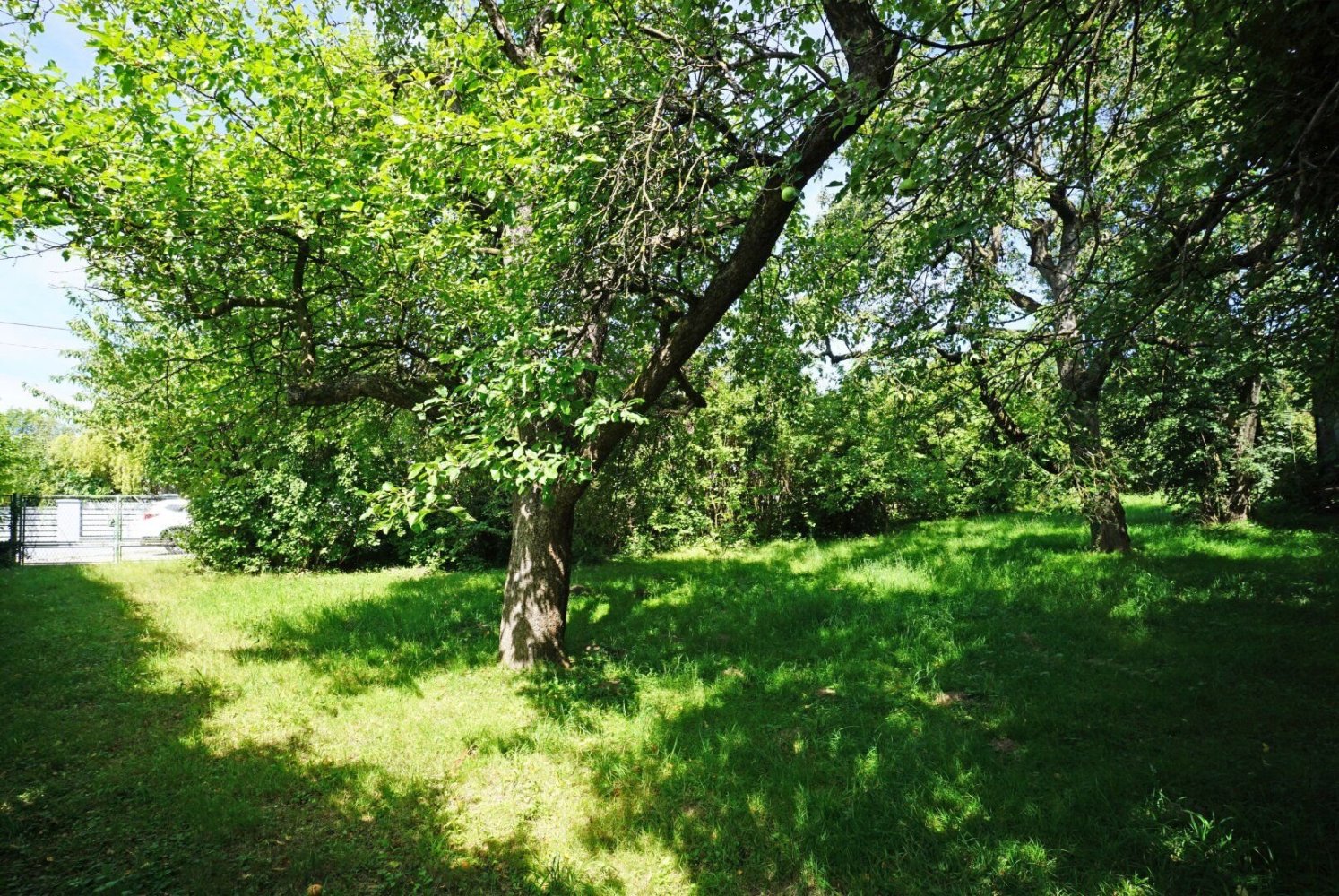 3 rooms Townhouse in Gablitz, Austria No. 44384