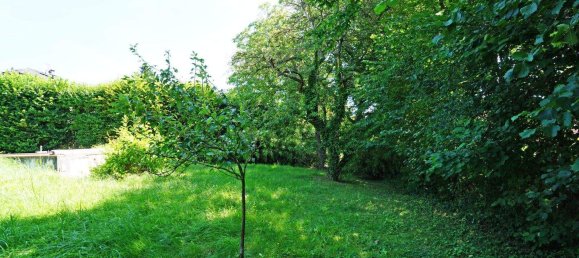 3 rooms Townhouse in Gablitz, Austria No. 44384 10