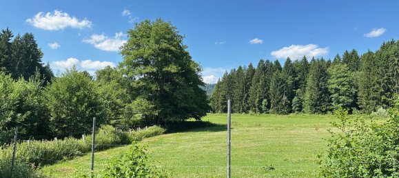 5 غرف نوم بناية في Freyung-Grafenau, Germany رقم 289258 16