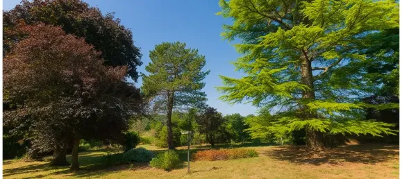 5غرفة منزل في Vienne, France رقم 333766 4