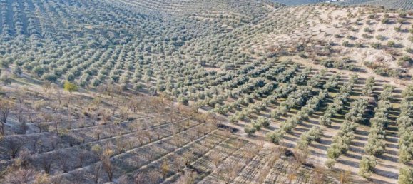 54273m² Land in Vegas del Genil, Spain No. 175724 44