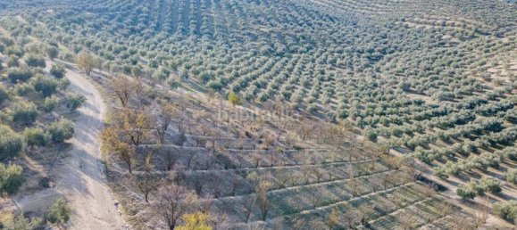 54273m² Land in Vegas del Genil, Spain No. 175724 45