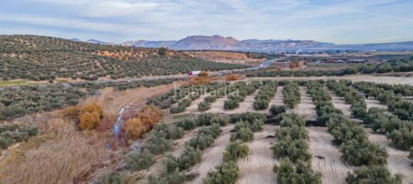 54273m² Land in Vegas del Genil, Spain No. 175724 19