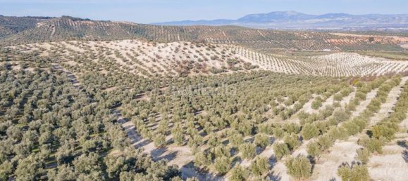 54273m² Land in Vegas del Genil, Spain No. 175724 53