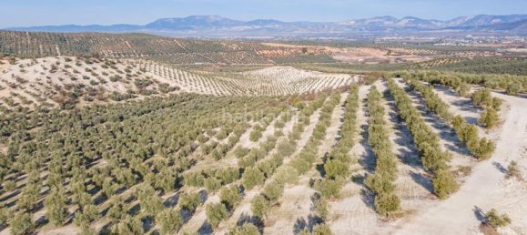 54273m² Land in Vegas del Genil, Spain No. 175724 51