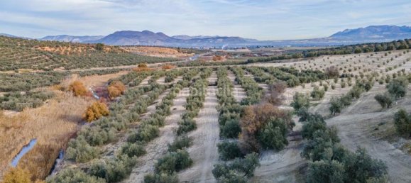54273m² Land in Vegas del Genil, Spain No. 175724 21