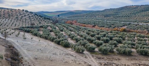 54273m² Land in Vegas del Genil, Spain No. 175724 8