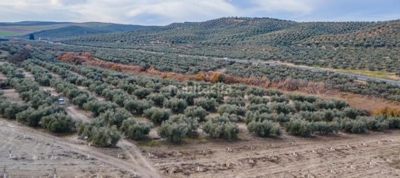 54273m² Land in Vegas del Genil, Spain No. 175724 12