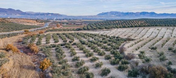 54273m² Land in Vegas del Genil, Spain No. 175724 4