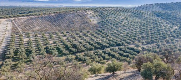 54273m² Land in Vegas del Genil, Spain No. 175724 37