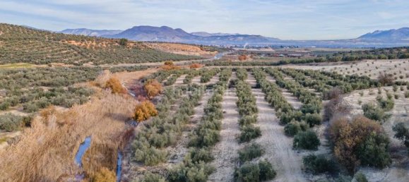 54273m² Land in Vegas del Genil, Spain No. 175724 23